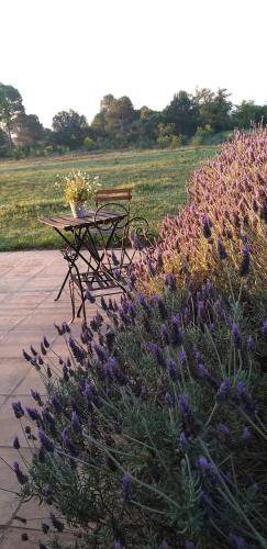 Photo of Outdoor in Vilanant