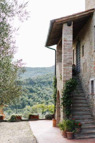Photo of Others in Teverina di Cortona