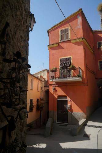 Photo of Others in Trebiano Magra