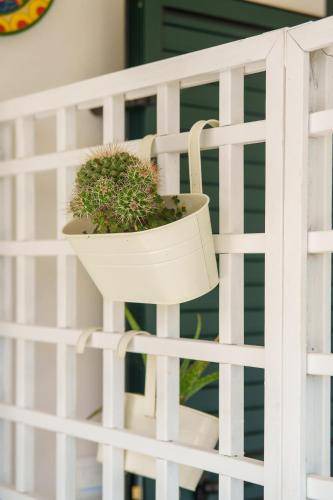 Photo of Patio Balcony in San Nicola Arcella