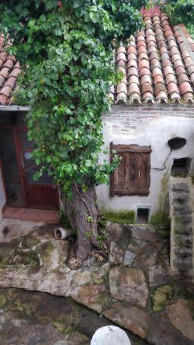 Photo of Others in Almansa