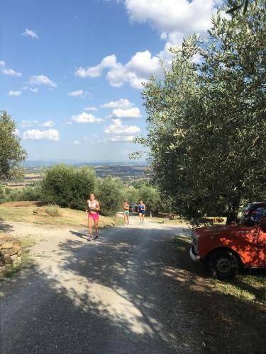 Photo of Others in Teverina di Cortona