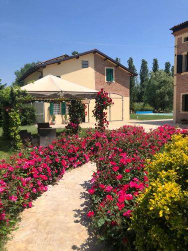 Photo of Buildings in San Donnino