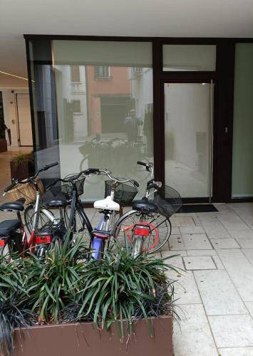 Photo of Others in Castelfranco Veneto
