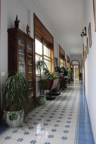 Photo of Others in Sarno