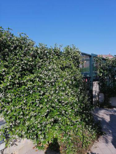 Photo of Outdoor in Ripalimosani