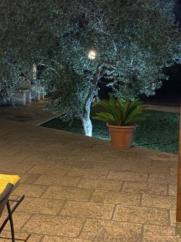 Photo of Others in Minervino di Lecce
