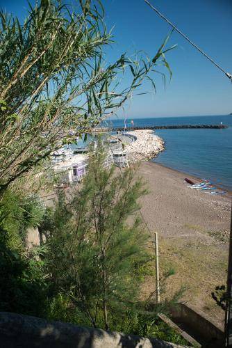 Photo of Others in Procida