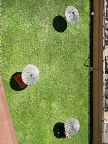Photo of Others in Villa de Vallecas