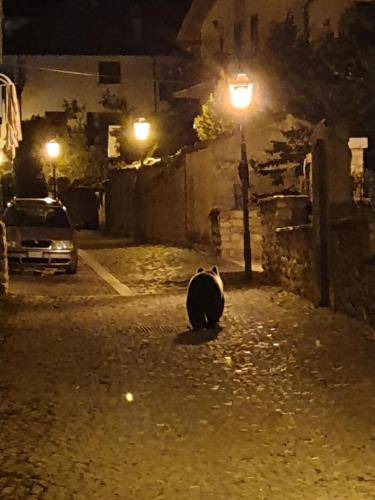 Photo of Others in Villetta Barrea