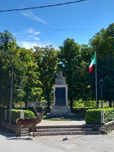 Photo of Others in Villalago