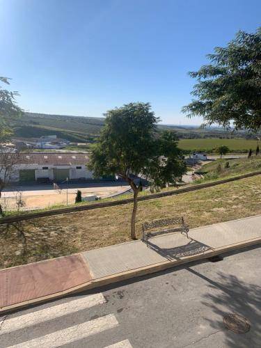 Photo of Others in Bonares
