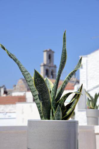 Photo of Others in Old Town Cisternino