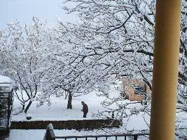 Photo of Others in La Vall de Bianya