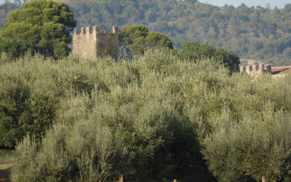 Photo of Buildings in Ramazzano