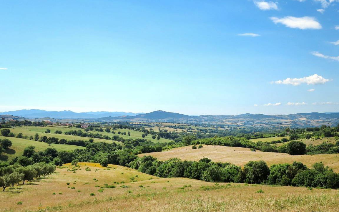 Photo of Others in Scansano