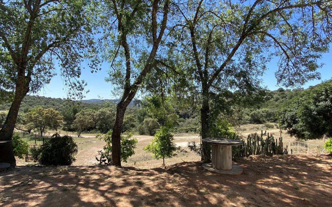 Photo of Others in Villaviciosa de Cordoba