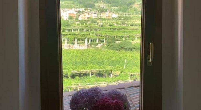 Photo of Others in Carema