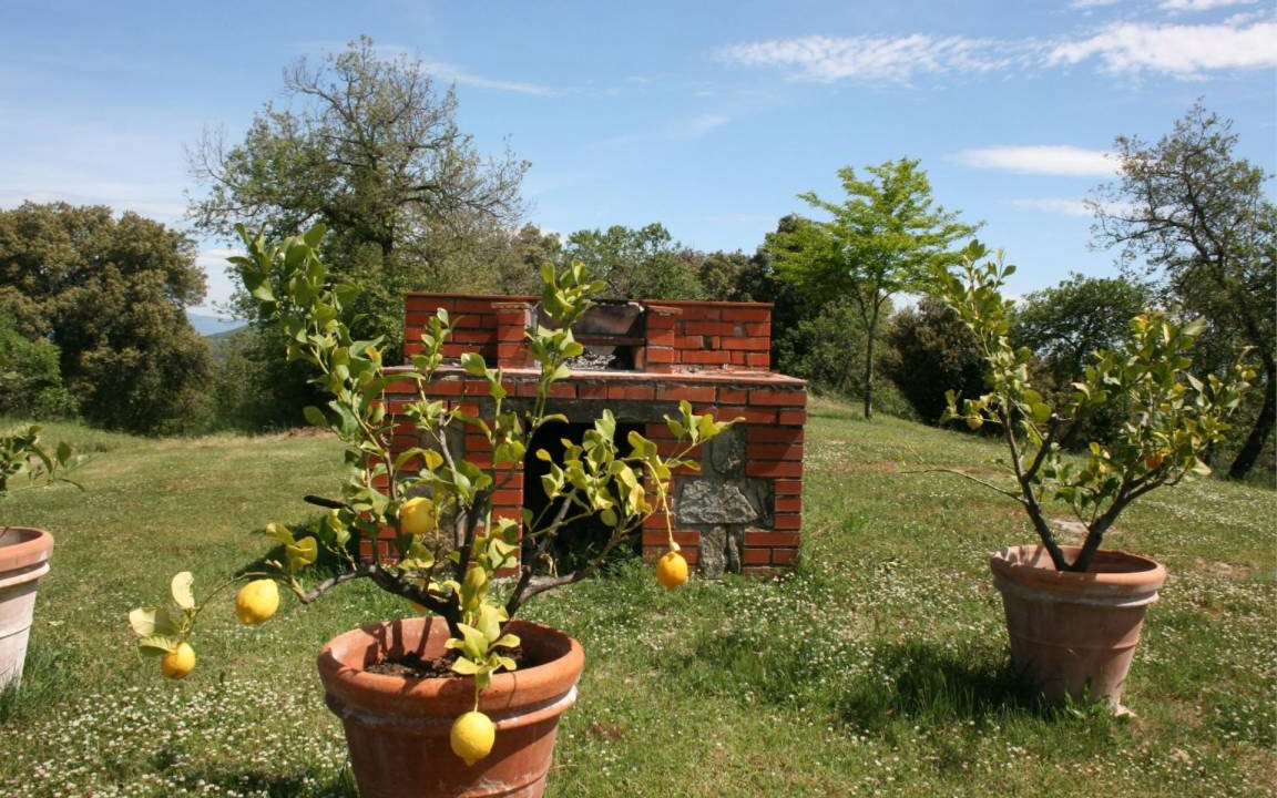 Photo of Others in Monte San Savino