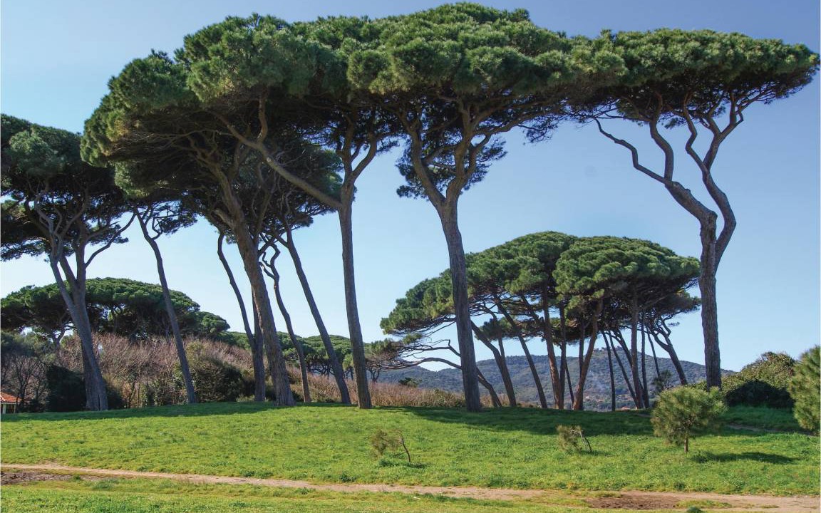 Photo of Others in Scansano