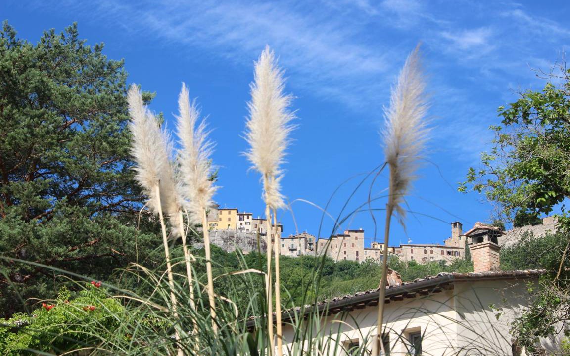 Photo of Others in Montone