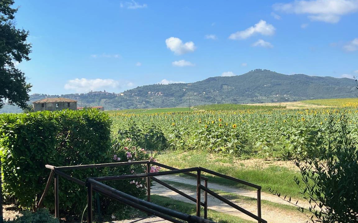 Photo of Others in Castiglione del Lago