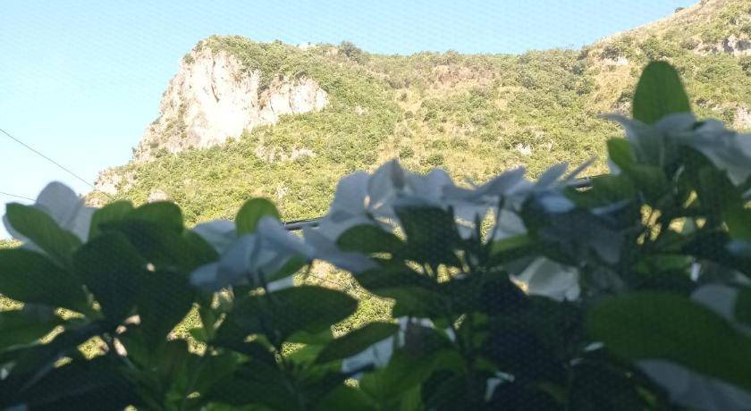 Photo of Others in Orsomarso