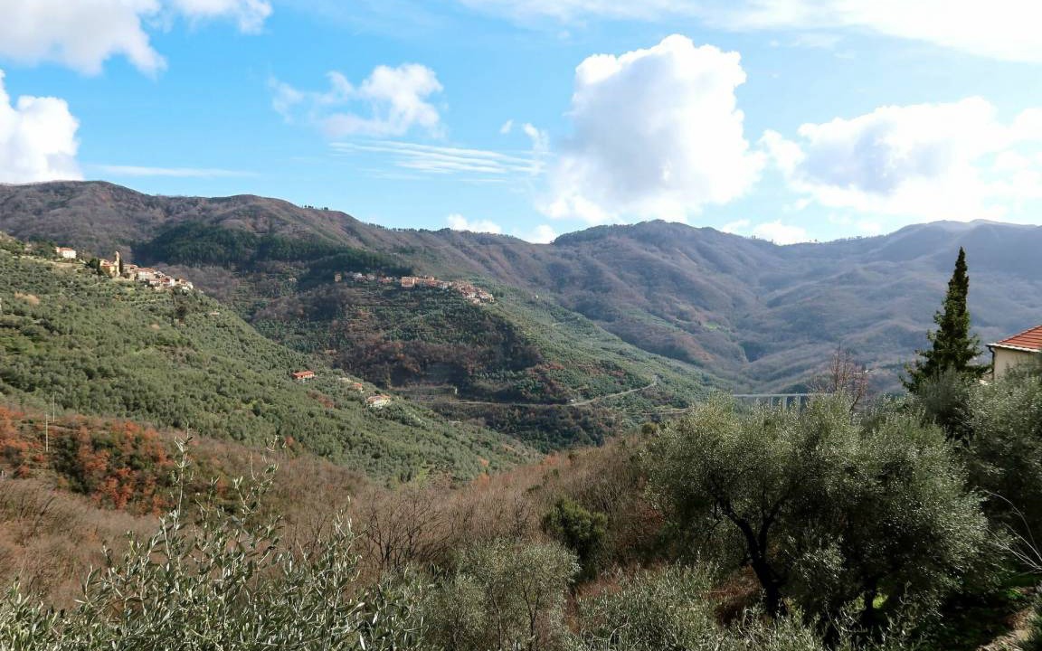 Photo of Others in San Bartolomeo