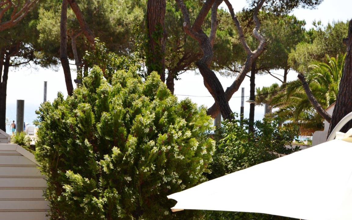 Photo of Others in Platja d'Aro