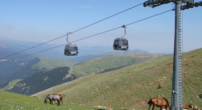 Photo of Others in Alp