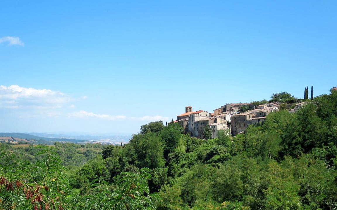 Photo of Others in Scansano