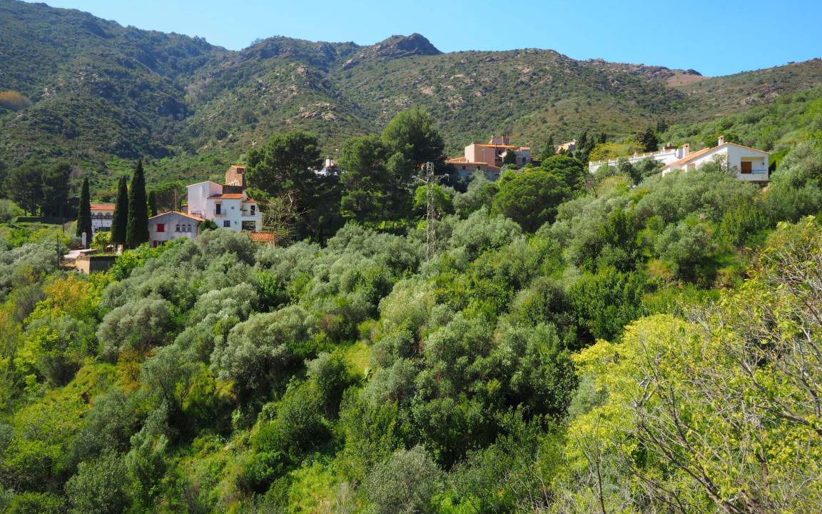 Photo of Others in La Vall de Santa Creu