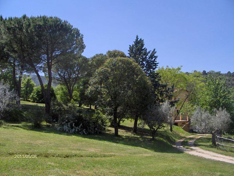 Photo of Outdoor in Spoleto