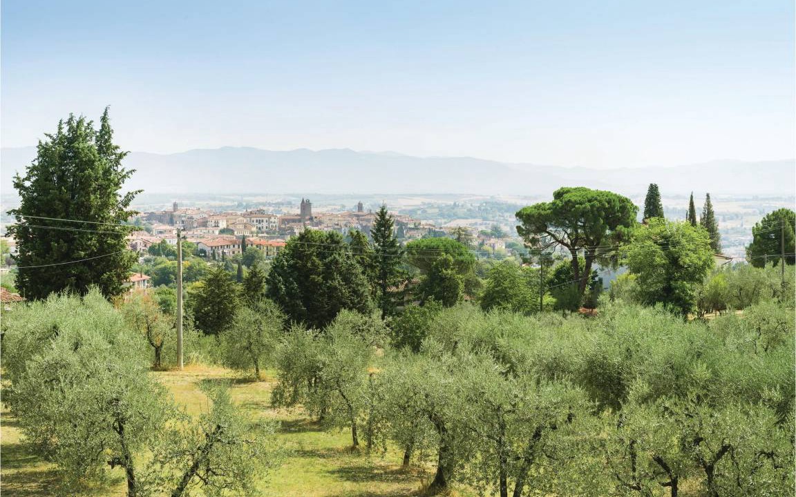 Photo of Others in Monte San Savino