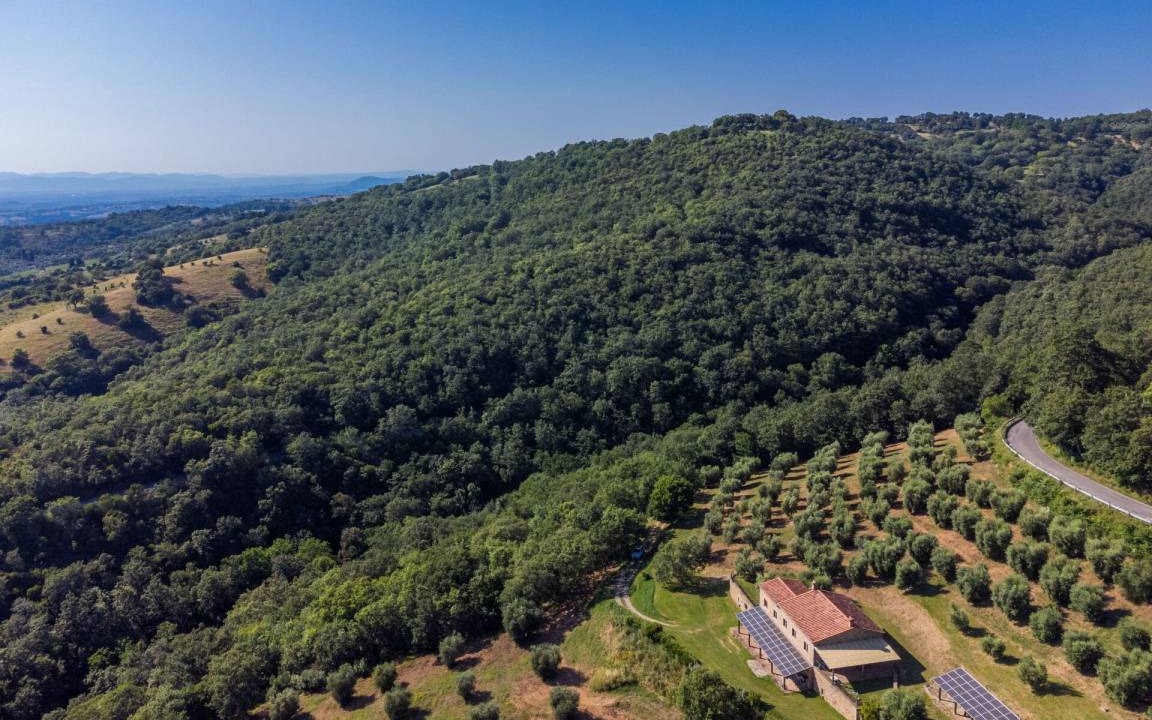 Photo of Others in Scansano