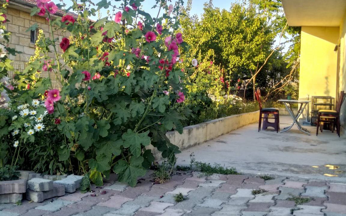 Photo of Others in Mustafapasa
