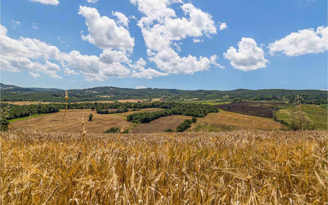 Photo of Others in Massa Martana