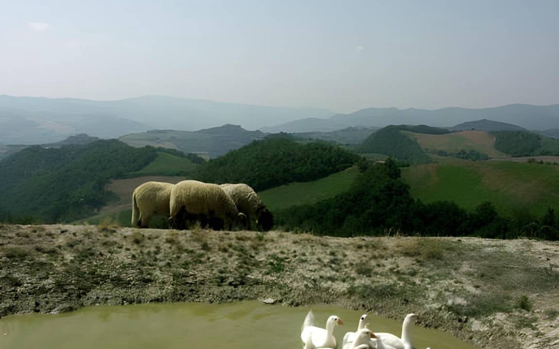 Photo of Others in Casalfiumanese