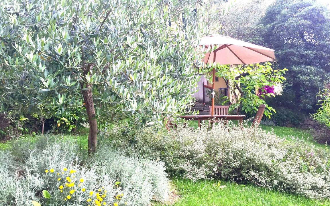Photo of Others in La Foce