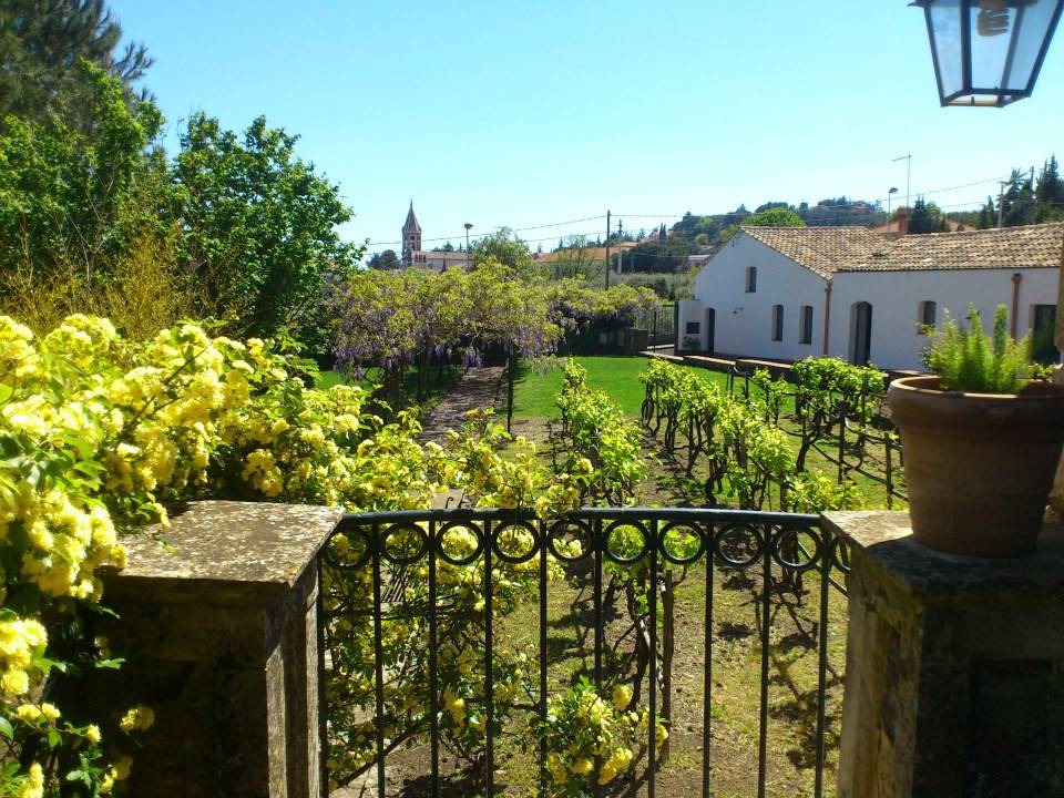 Photo of Others in Trecastagni