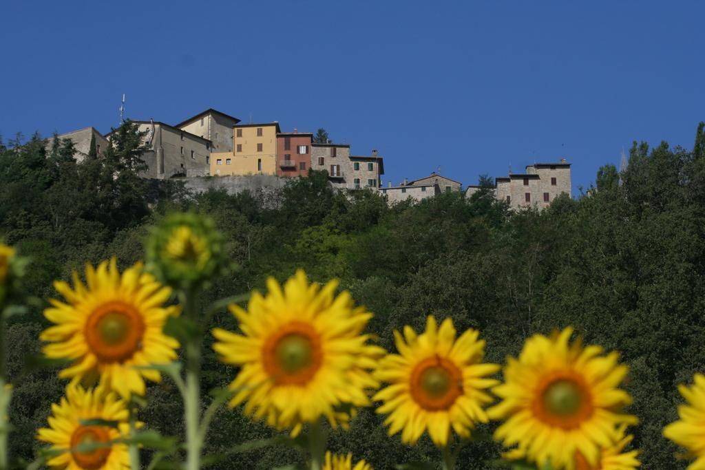 Photo of Others in Montone