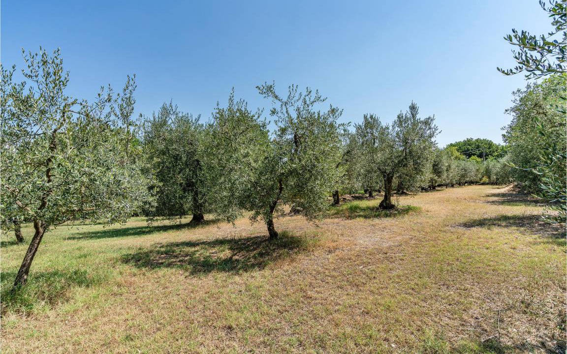 Photo of Others in Monte San Savino