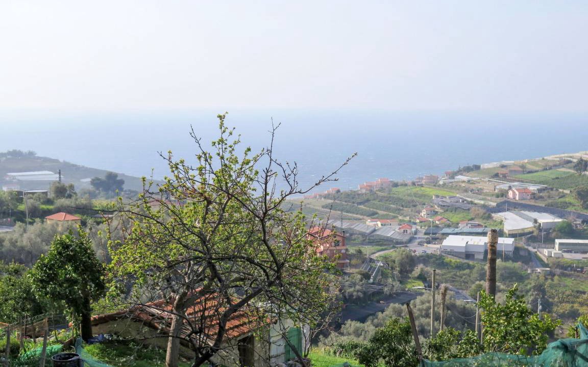 Photo of Others in Terzorio
