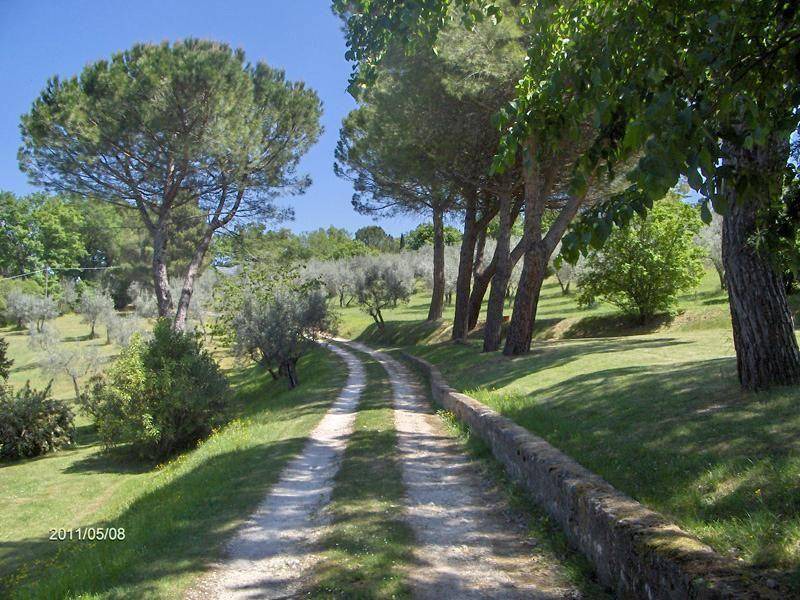 Photo of Others in Spoleto