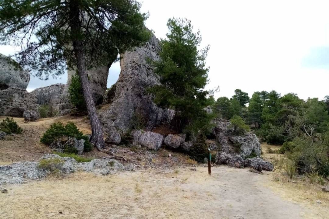 Photo of Others in Las Majadas