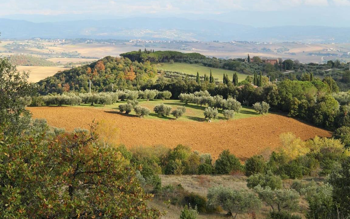 Photo of Others in Monte Vibiano Vecchio