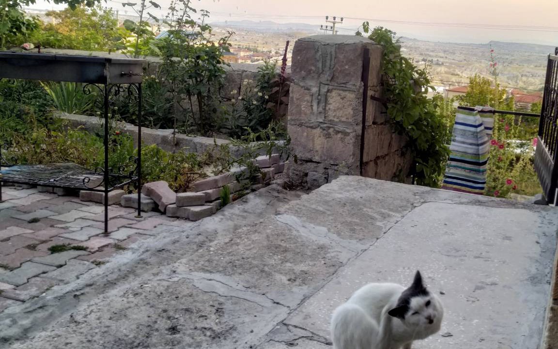 Photo of Others in Mustafapasa