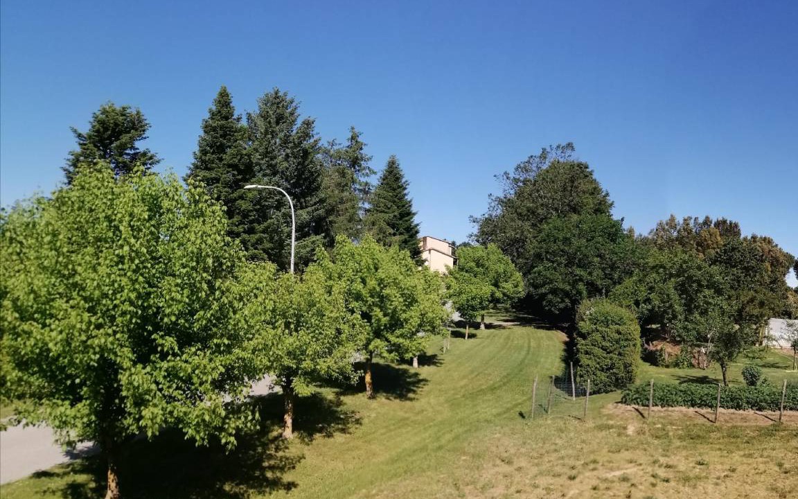 Photo of Others in Monticiano