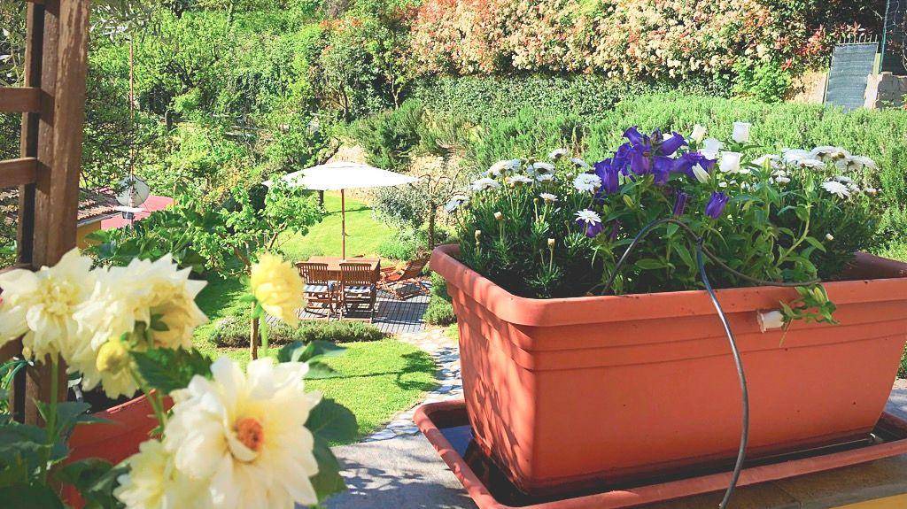 Photo of Others in La Foce