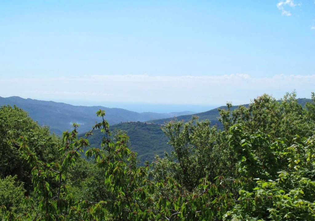 Photo of Others in Aurigo